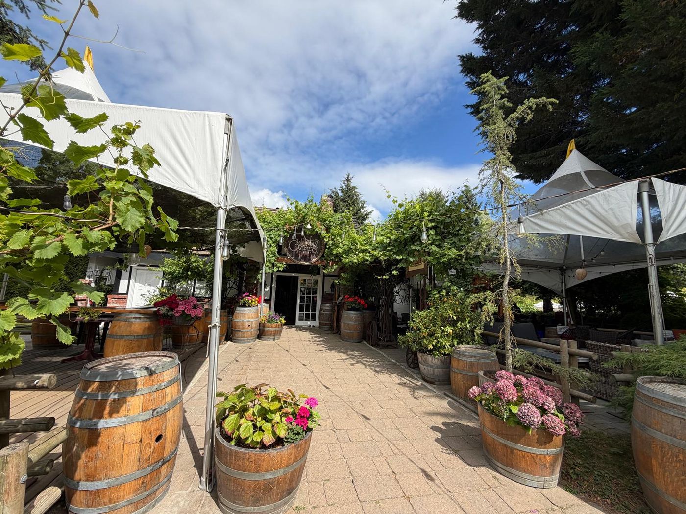 The entrance courtyard at Country Vines Winery in Richmond